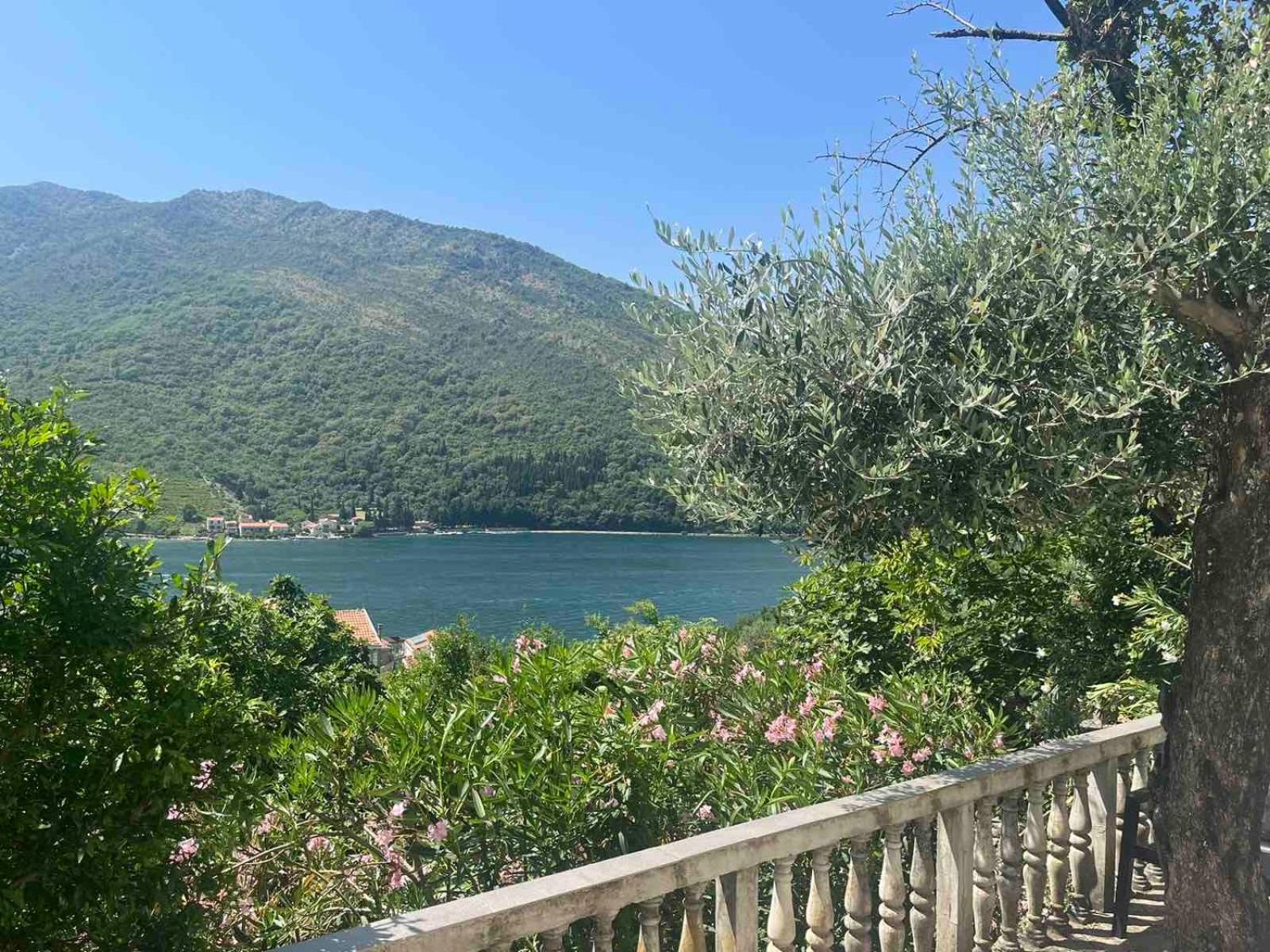 Apartman Irena Tivat Eksteriør billede